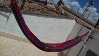 Amaca messicana colorata