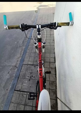 Bicicleta de montaña L/M