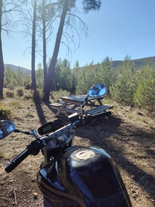 Yamaha FZ6 S2