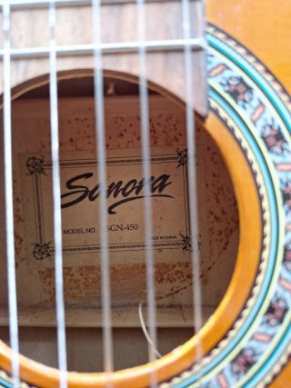Guitarra Sonora