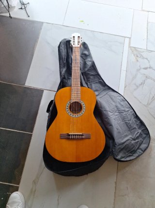 Guitarra Sonora