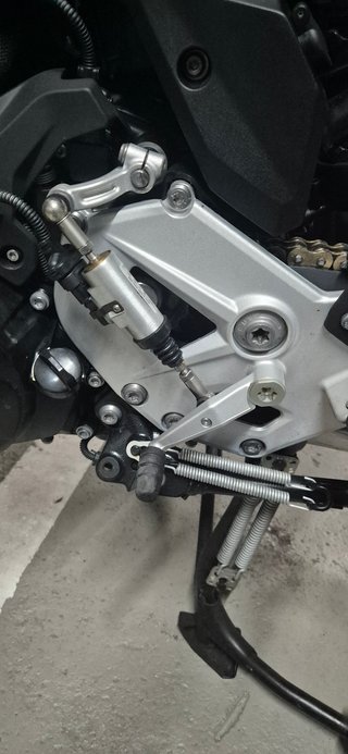 BMW F900R 2023 gris