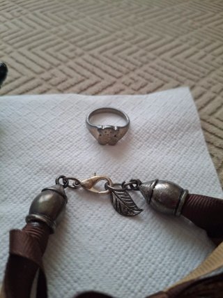 Lote Bisutería Pulseras y Anillo
