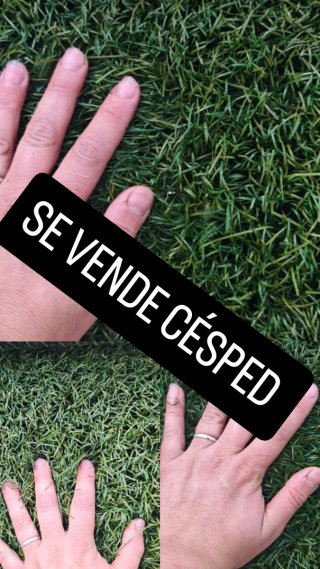 Césped artificial !!!