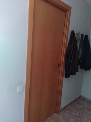 Puerta interior de madera con pomo plateado