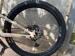 Megamo Vitae 2025