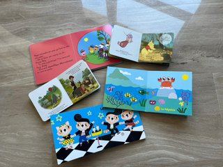 Lote de 5 libros bebés en francés