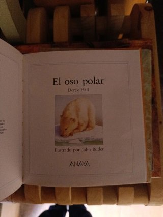 El Oso Polar
