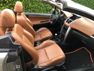 Peugeot 207 2010