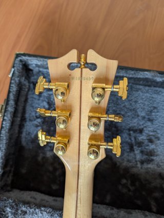 Guitarra D'Angelico Bedford Verde