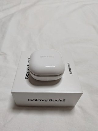 Samsung Galaxy Buds2 Negros