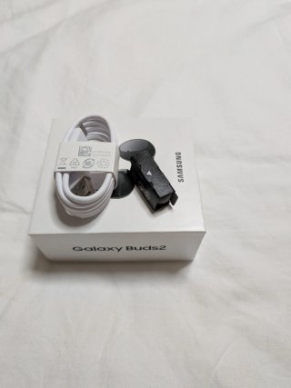 Samsung Galaxy Buds2 Negros