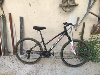Bicicleta B-PRO