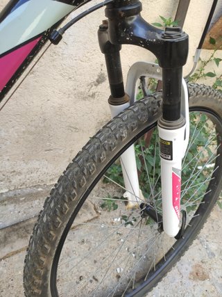 Bicicleta B-PRO