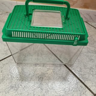 Acquario per pesciolino in plastica