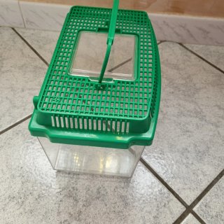 Acquario per pesciolino in plastica