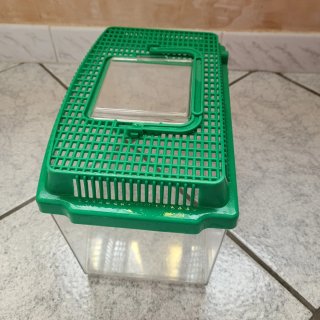 Acquario per pesciolino in plastica
