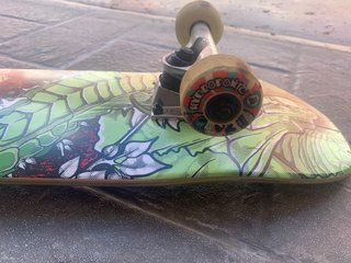 Tabla Skate Hydroponic