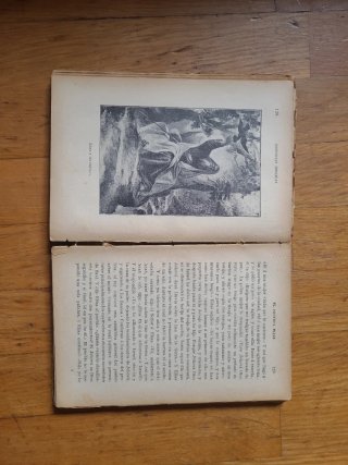 Libro antiguo 1909 Historias Bíblicas