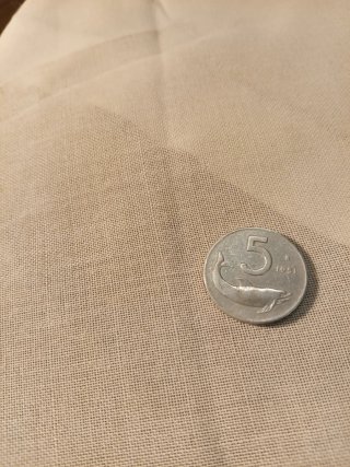 Moneta 5 Lire 1951 Delfino