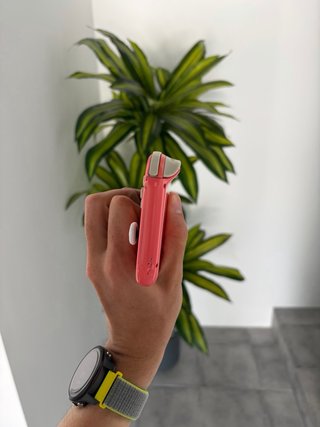 Nintendo Switch Lite Rosa