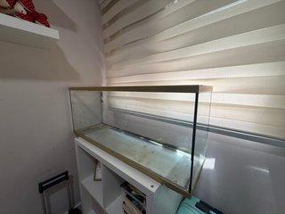 Acuario 100 litros para jerbos, terrario, etc