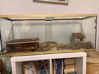 Acuario 100 litros para jerbos, terrario, etc
