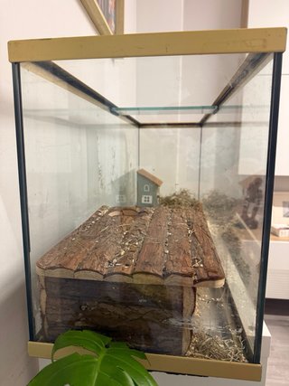 Acuario 100 litros para jerbos, terrario, etc
