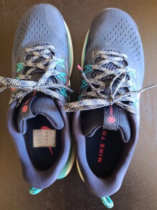 Zapatillas Nike Pegasus Trail 5 Azul/Rosa