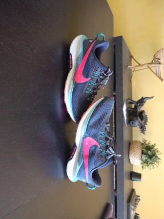 Zapatillas Nike Pegasus Trail 5 Azul/Rosa