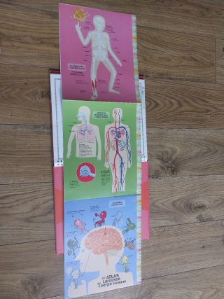 Mi atlas Larousse del cuerpo humano