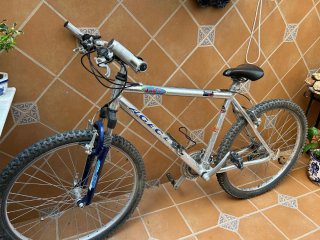 Bicicleta de montaña ACE