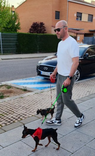 Cuidador de perros