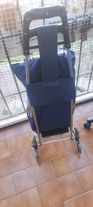Carrito Compra 6 Ruedas Azul/Multicolor