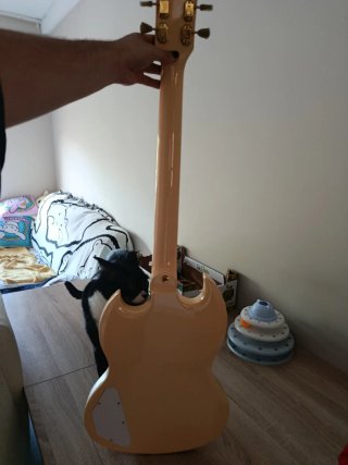 Guitarra Eléctrica Harley Benton DC600 Vintage Ivo