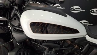 Harley-Davidson Sportster 1250 S 2021 | 1.279km