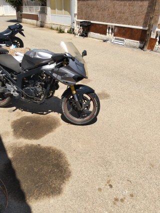 Horquilla Hyosung GTR 125/250 Gris