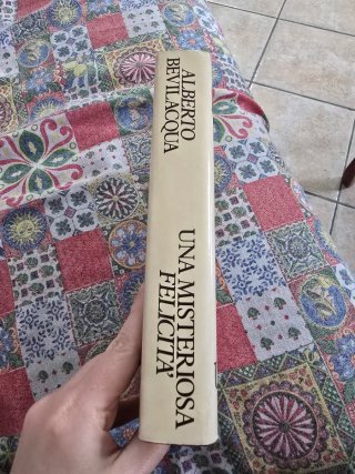 Una misteriosa felicità