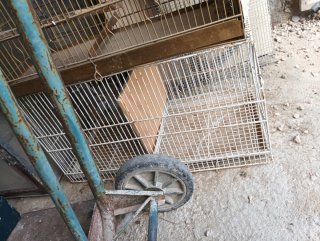 Jaulas para pájaros