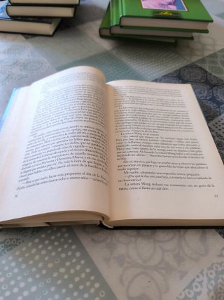 El libro el abanico de seda de Lisa See