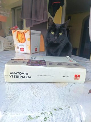 Anatomía veterinaria