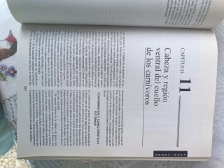 Anatomía veterinaria