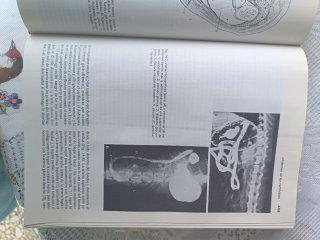 Anatomía veterinaria