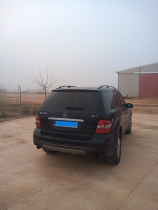 MERCEDES-BENZ Clase M ML 320 CDI