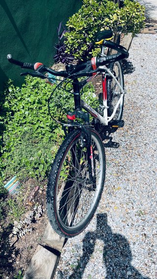 Bicicleta Montagna Decathlon Cadete