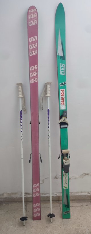 Sci vintage Elan FAS 101