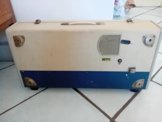 Organo Farfisa Micro Organ