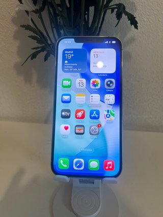iPhone 12 Pro Max 256 GB Plata