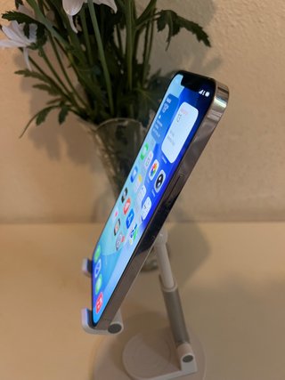 iPhone 12 Pro Max 256 GB Plata