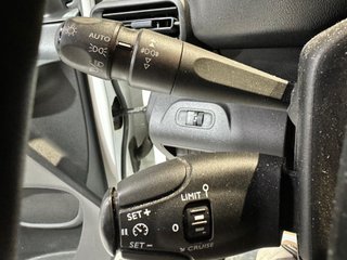 Peugeot Partner 4x4 Dangel Std Doble Cabina BlueHDi 96kW